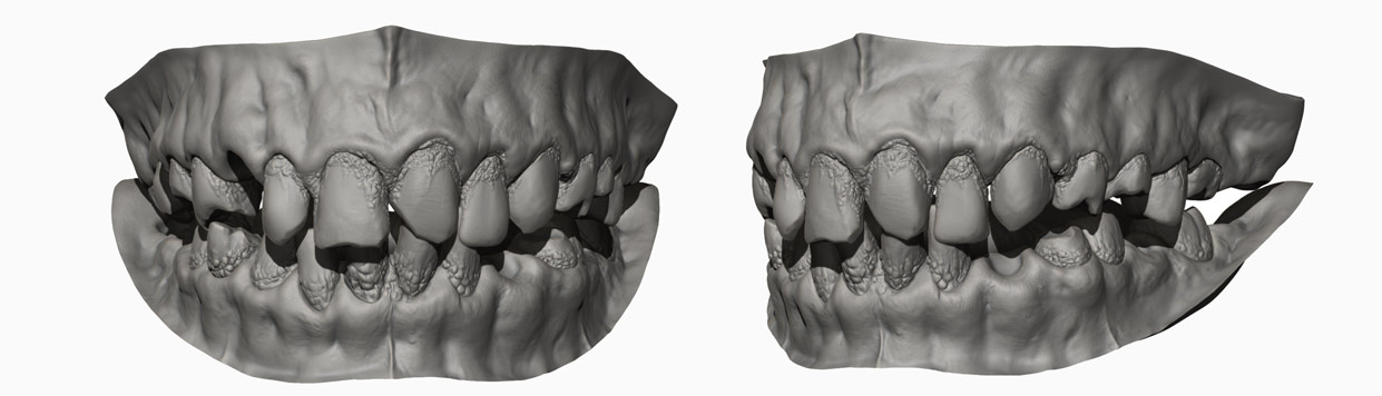 Teeth sculpt in Zbrush Model