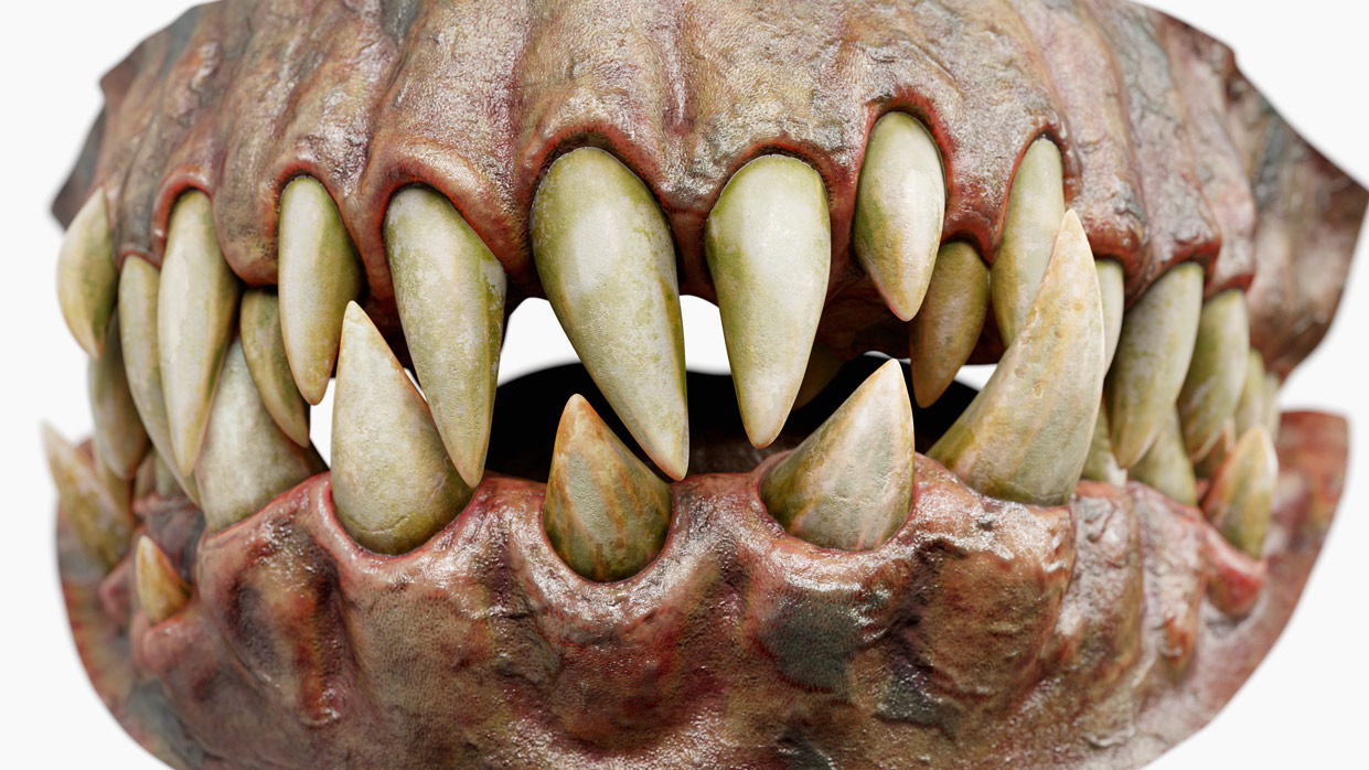 realistic 3d teeth model