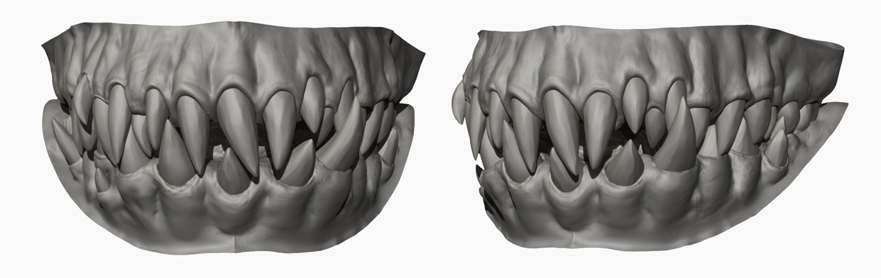 Teeth sculpt in Zbrush Model