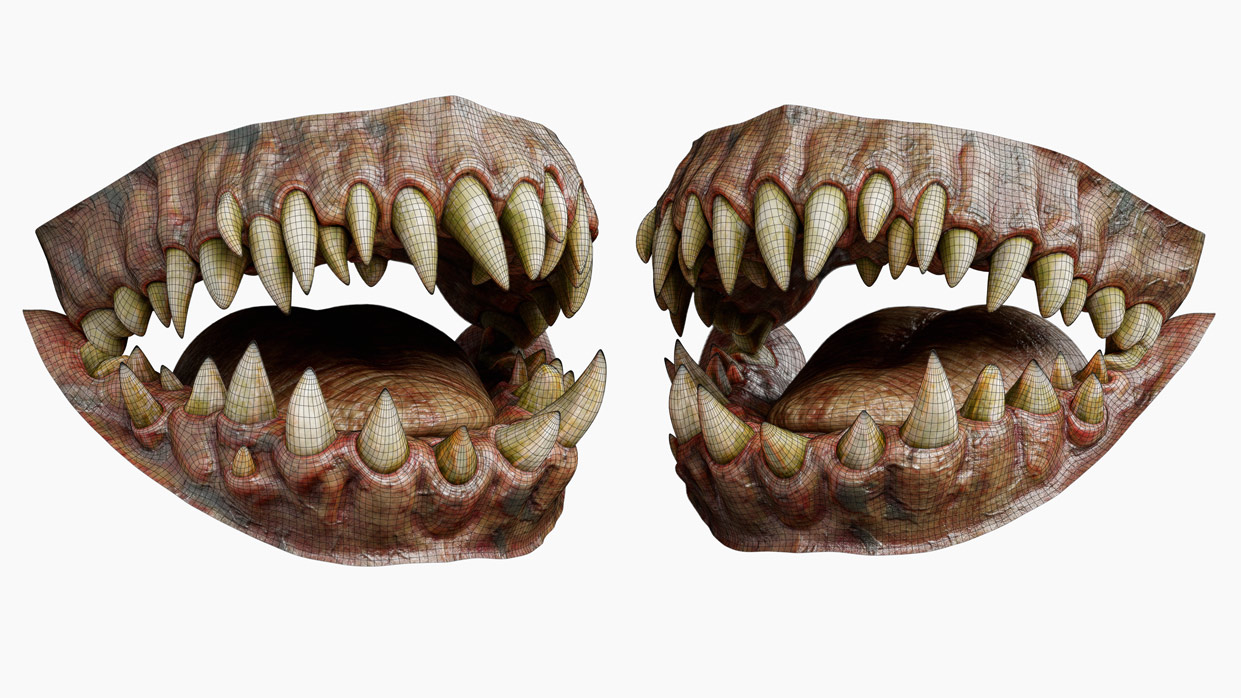 Teeth 3d wireframe model topology