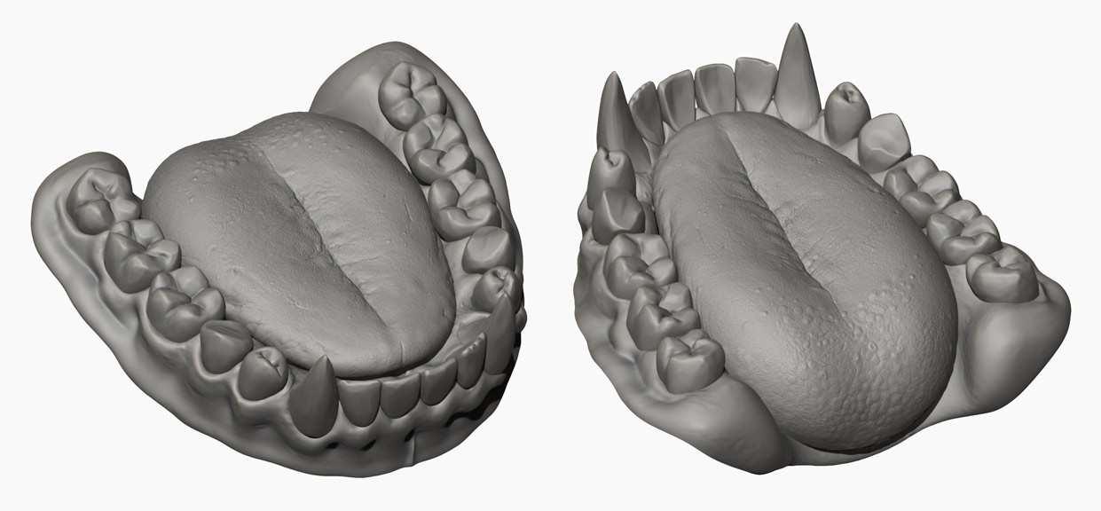 Tongue and teeth modelled in Zbrush 