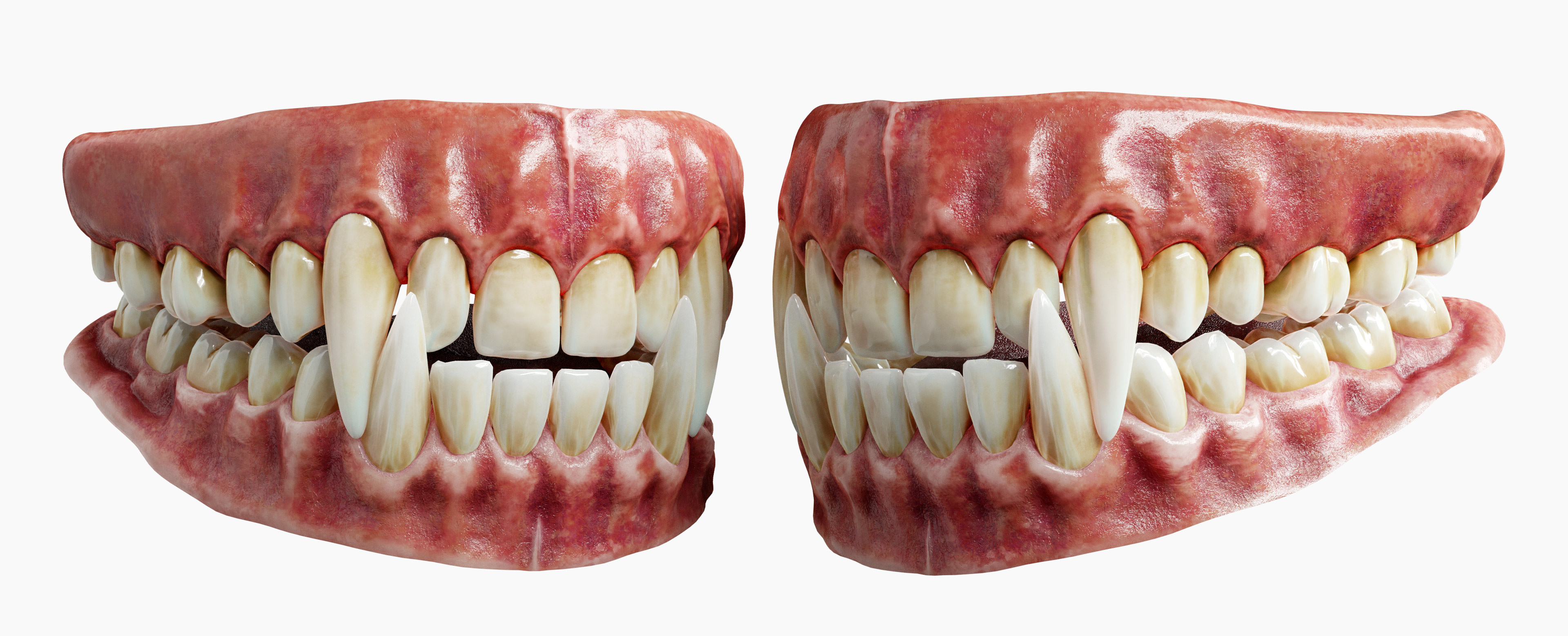 Download realistic 3d teeth model