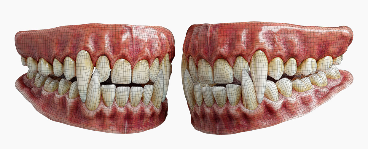 Teeth 3d wireframe model topology