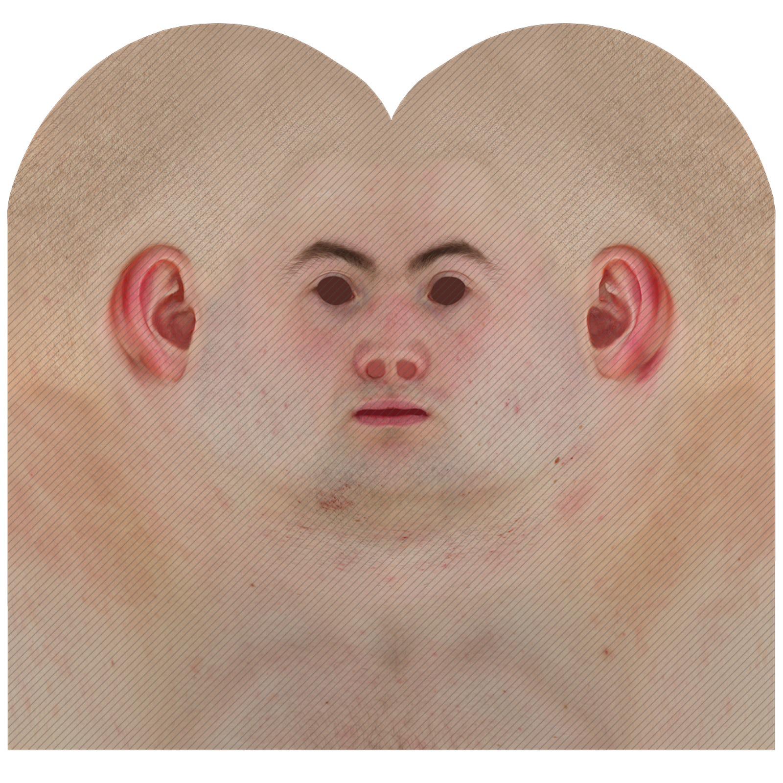 Male head texture map 010