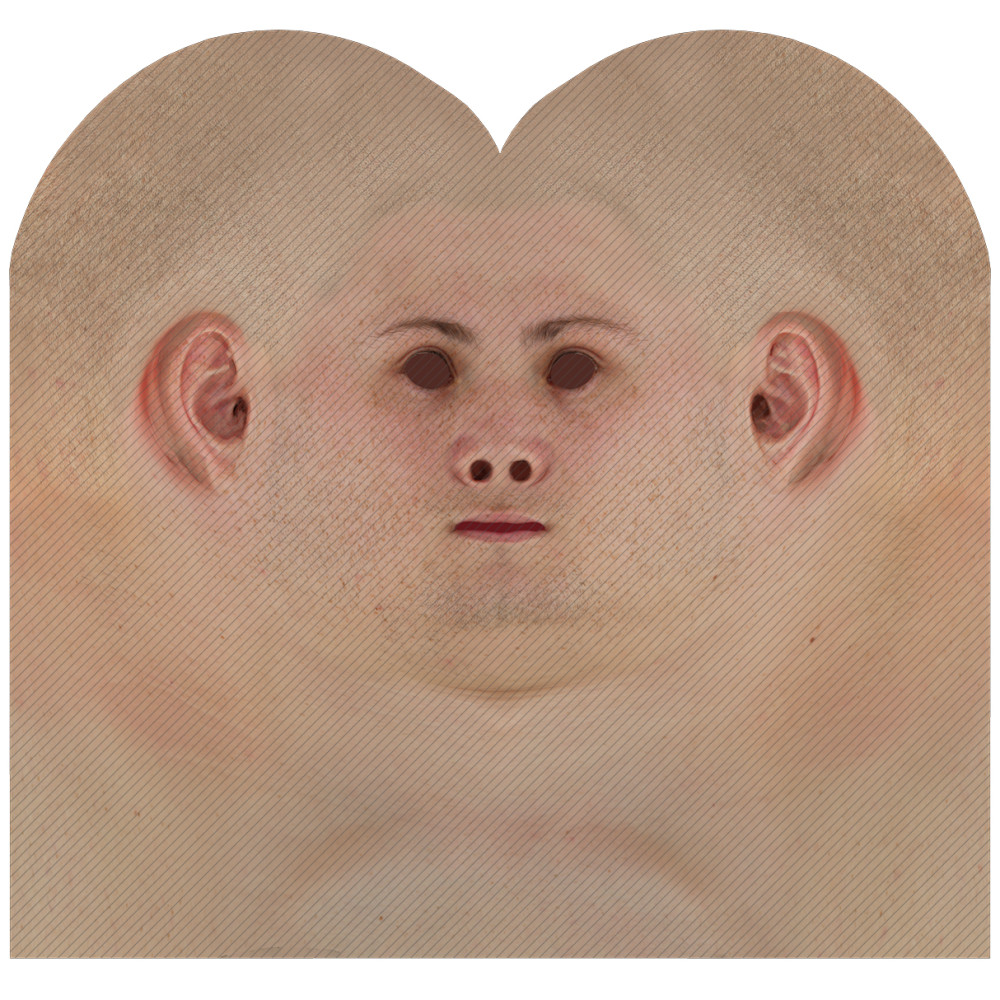 Male head texture map 11