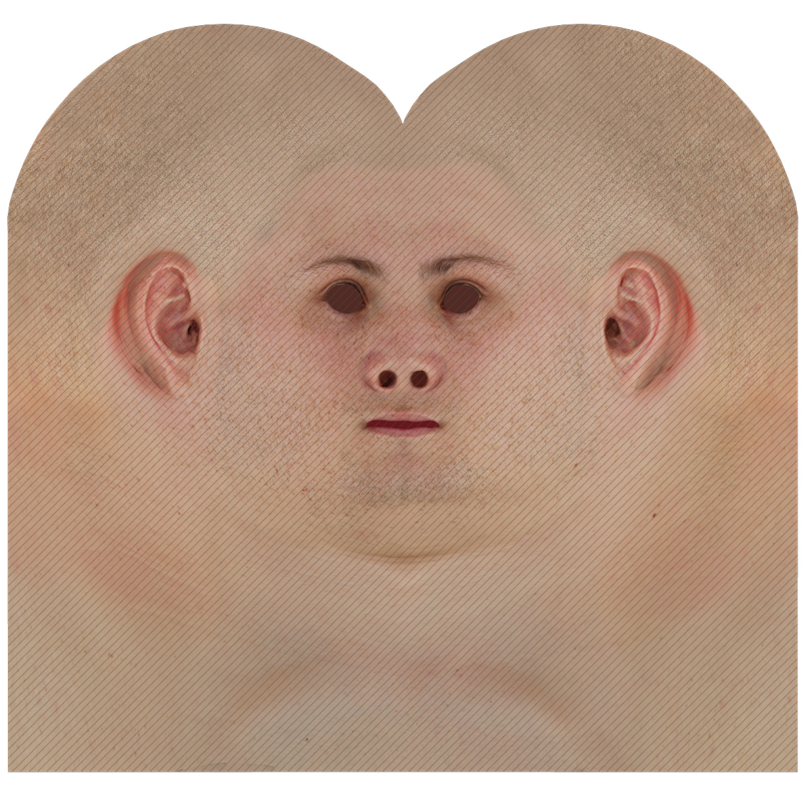 Male head texture map 11