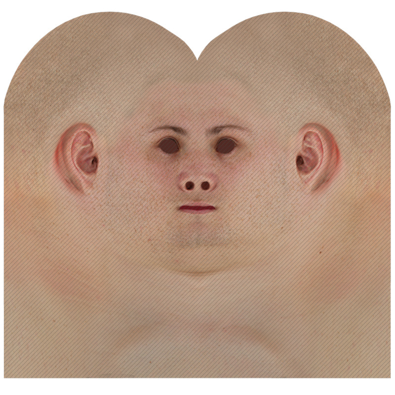 Male head texture map 11