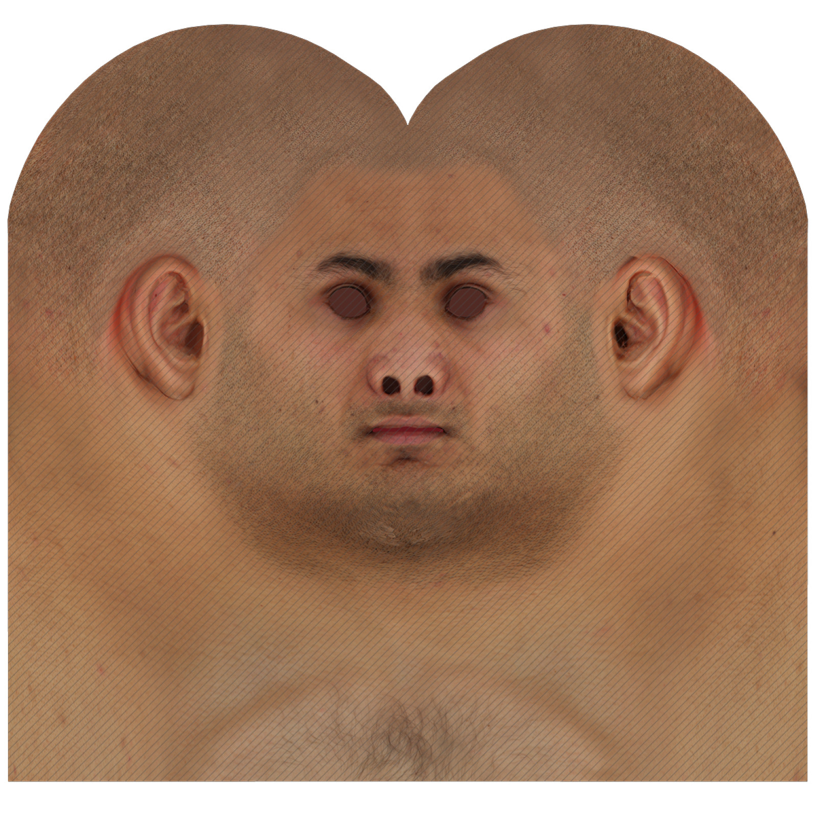 Male head texture map 12