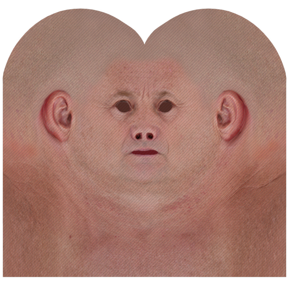 Male head texture map 13