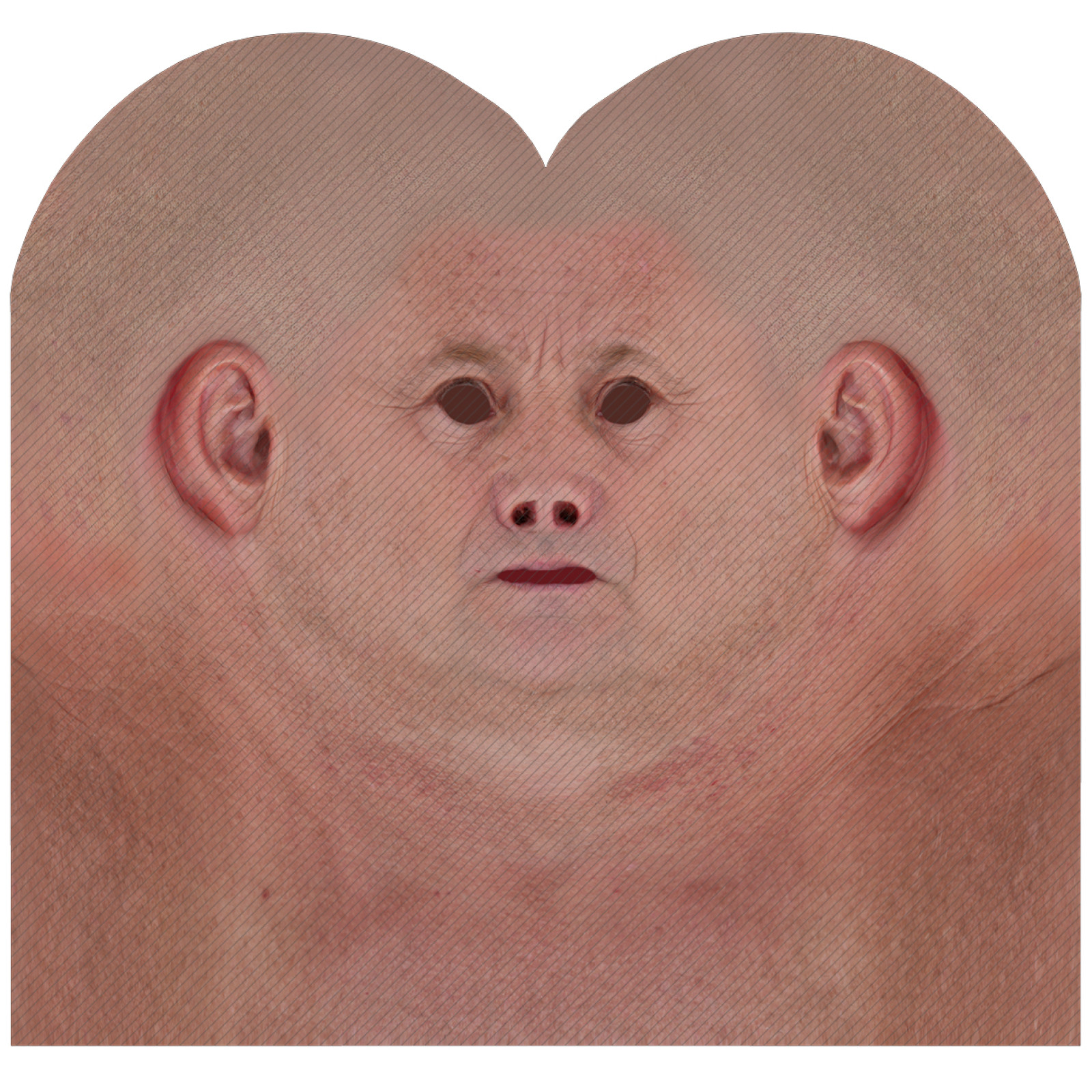 Male head texture map 13