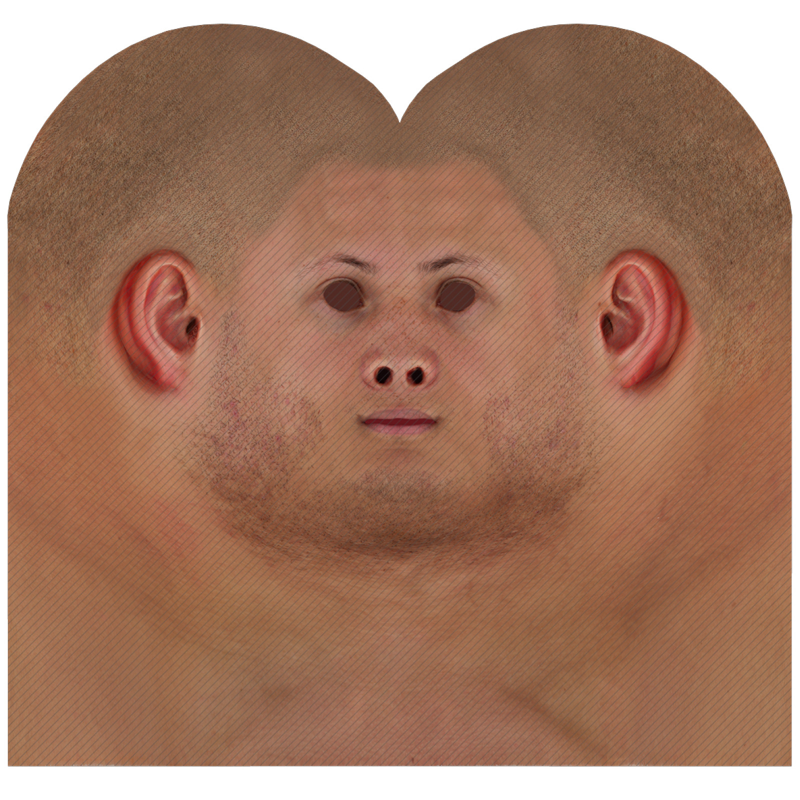 Male head texture map 21