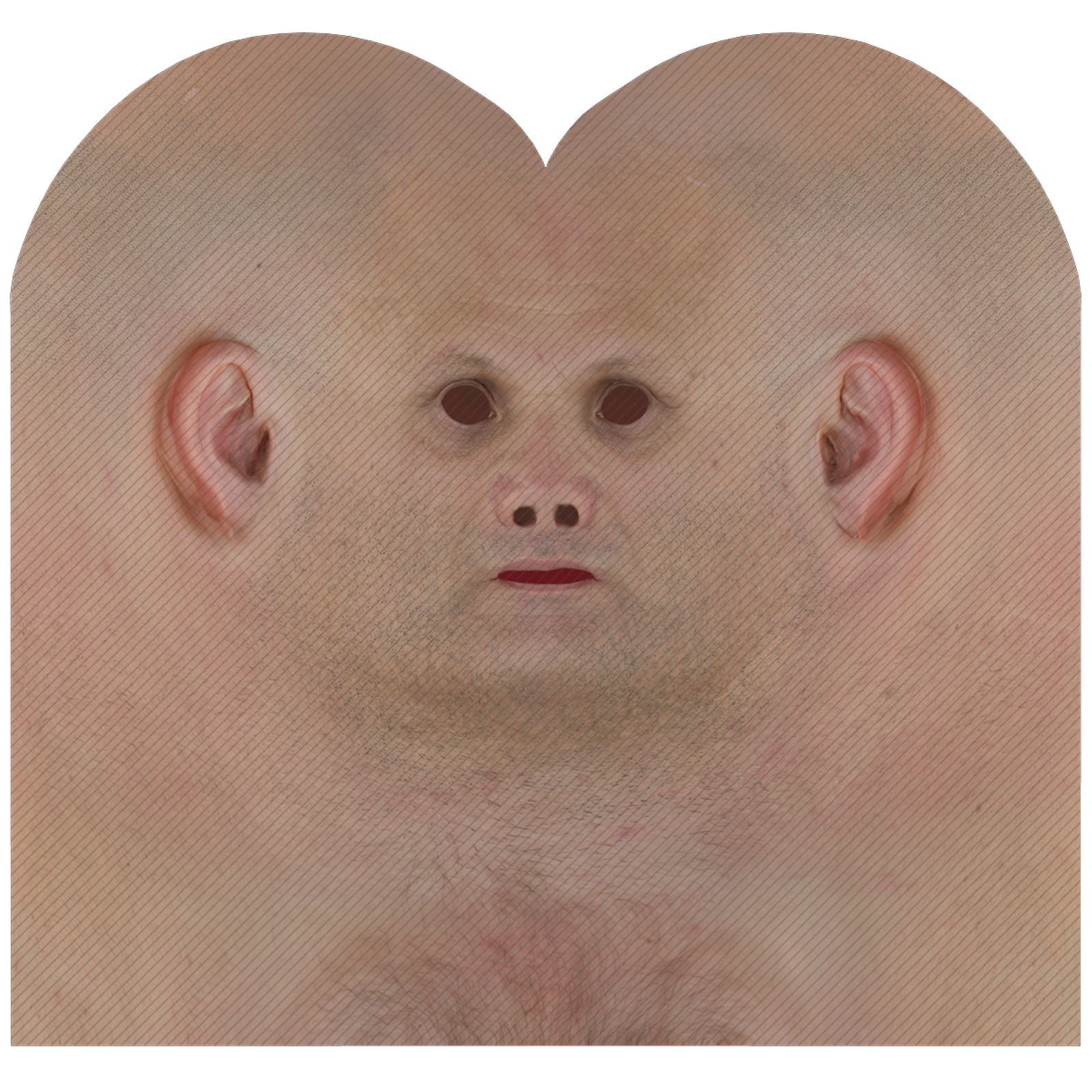 Male head texture map 22