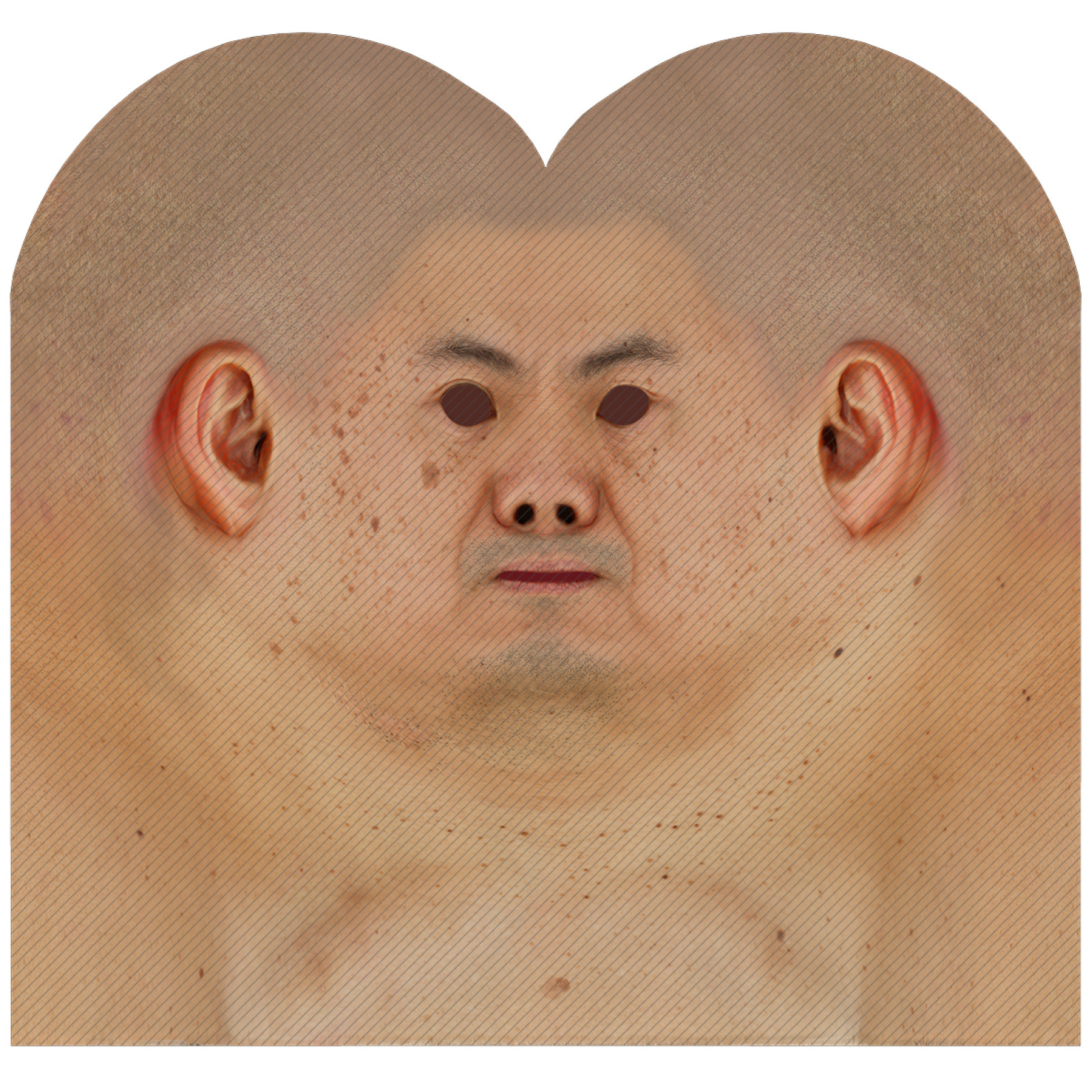 Male head texture map 29