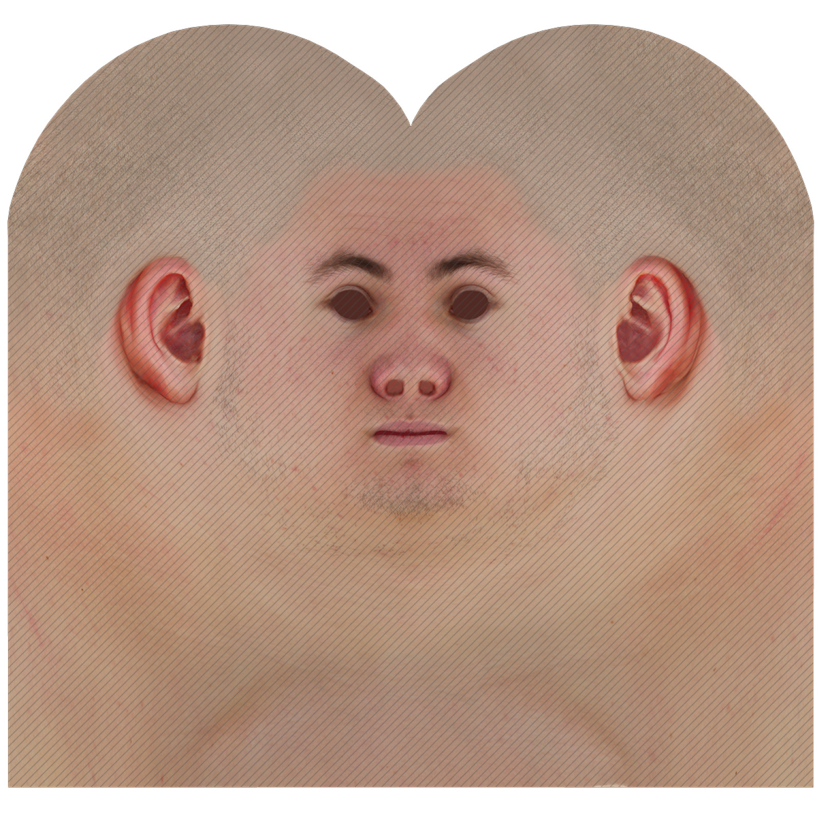 Male head texture map 03