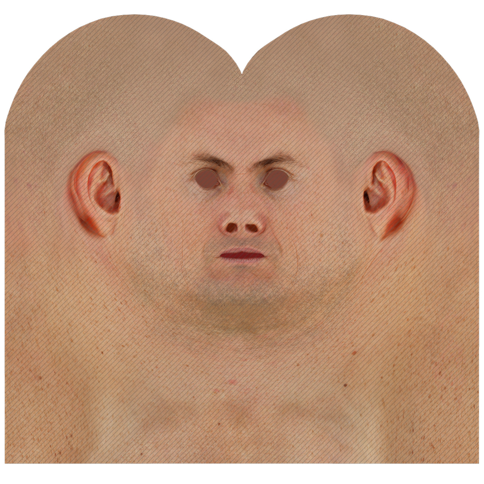 Male head texture map 36