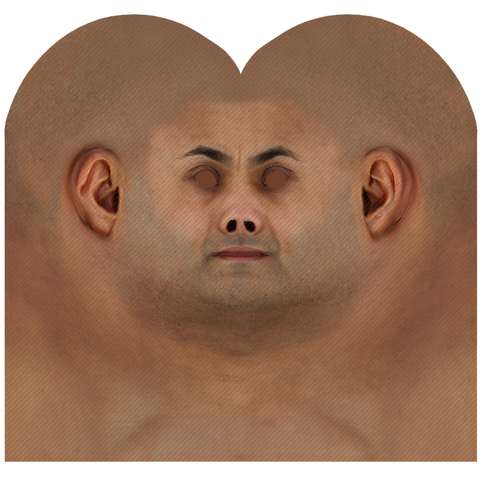 Male head texture map 41