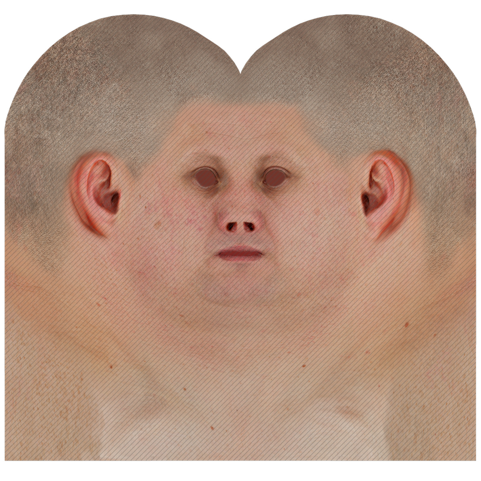 Male head texture map 44