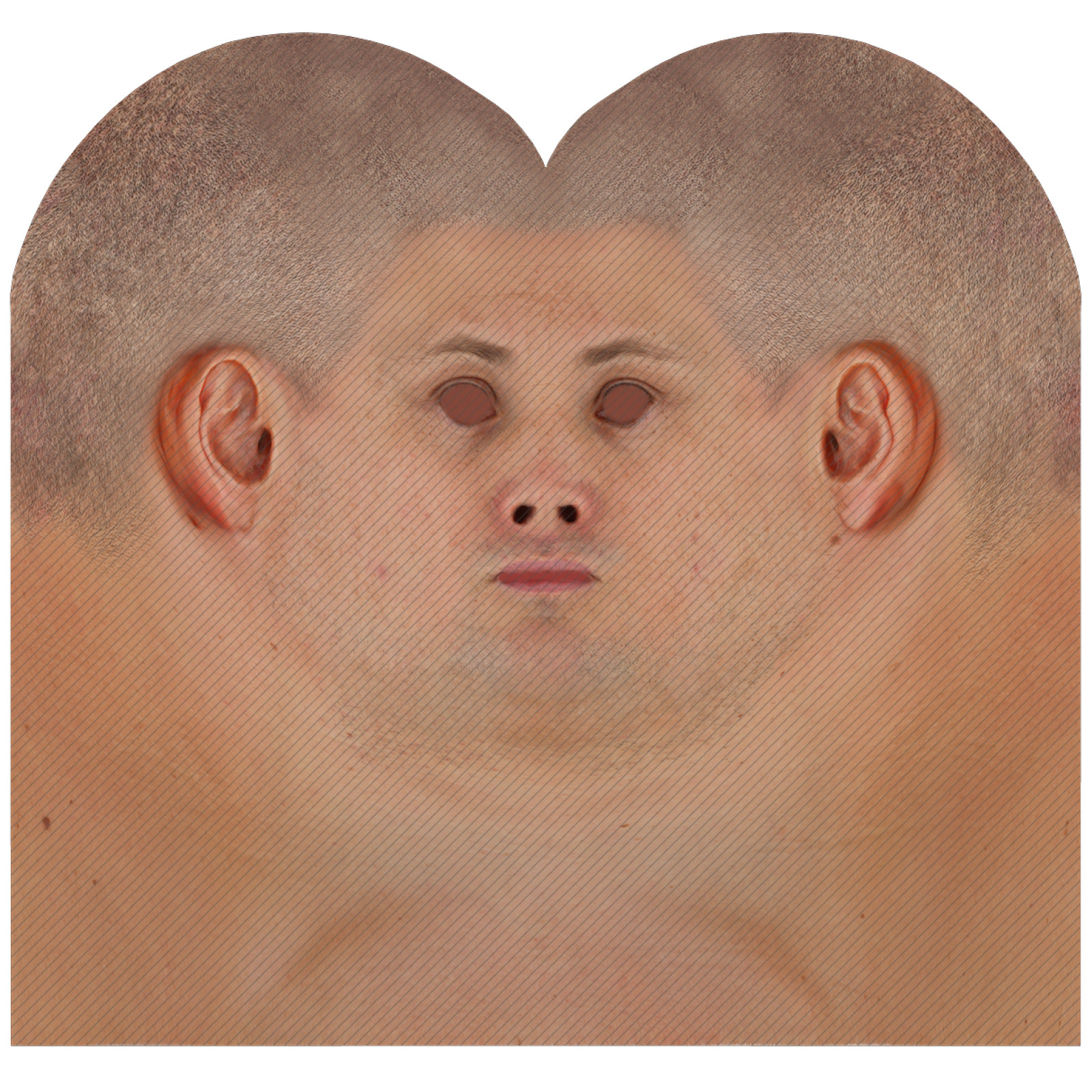 Male head texture map 48