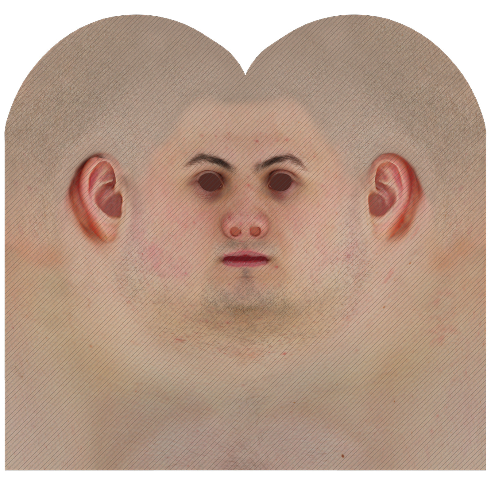 Male Head Texture Map 06