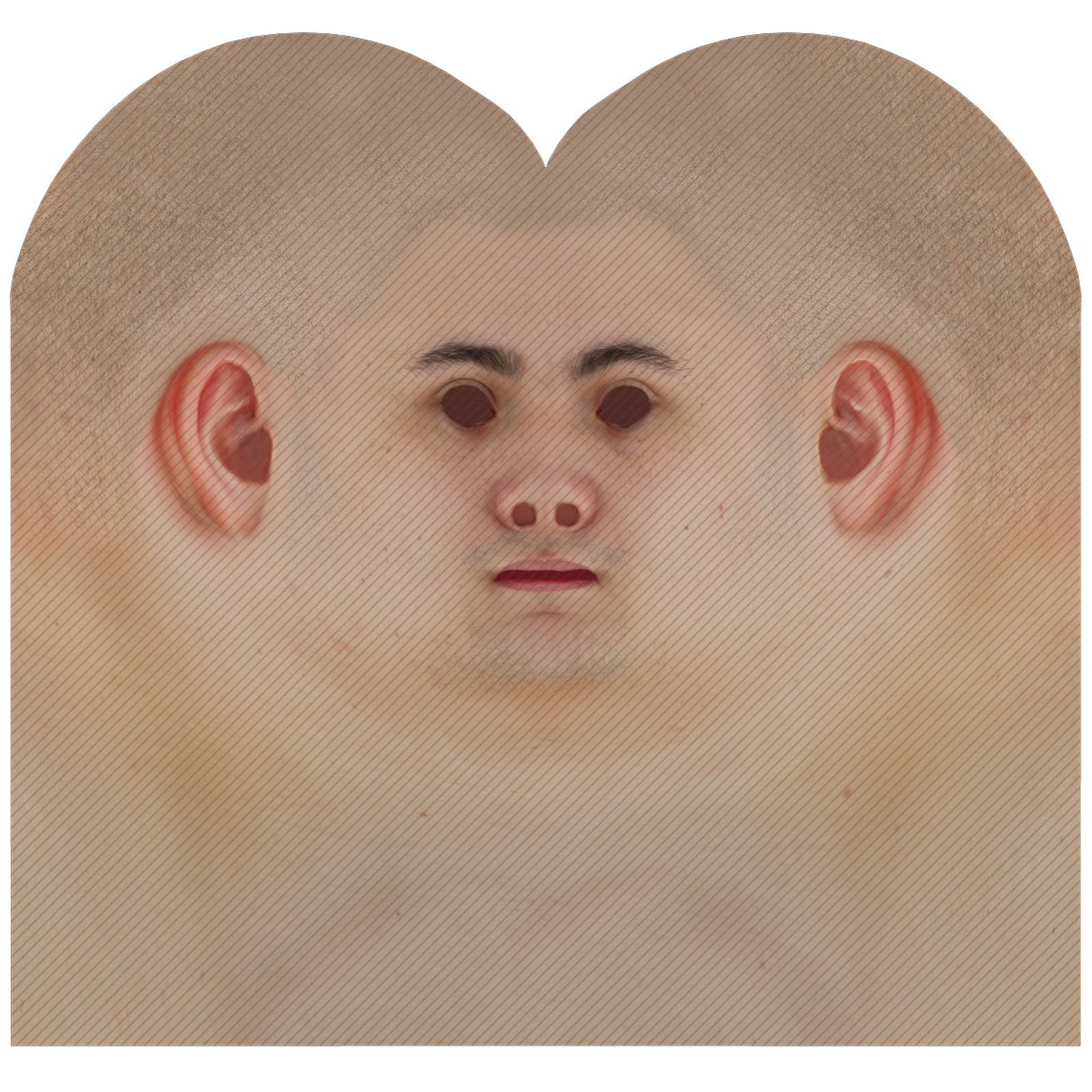 Male head texture map 08