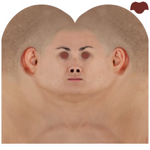 Male Head Texture Map 07