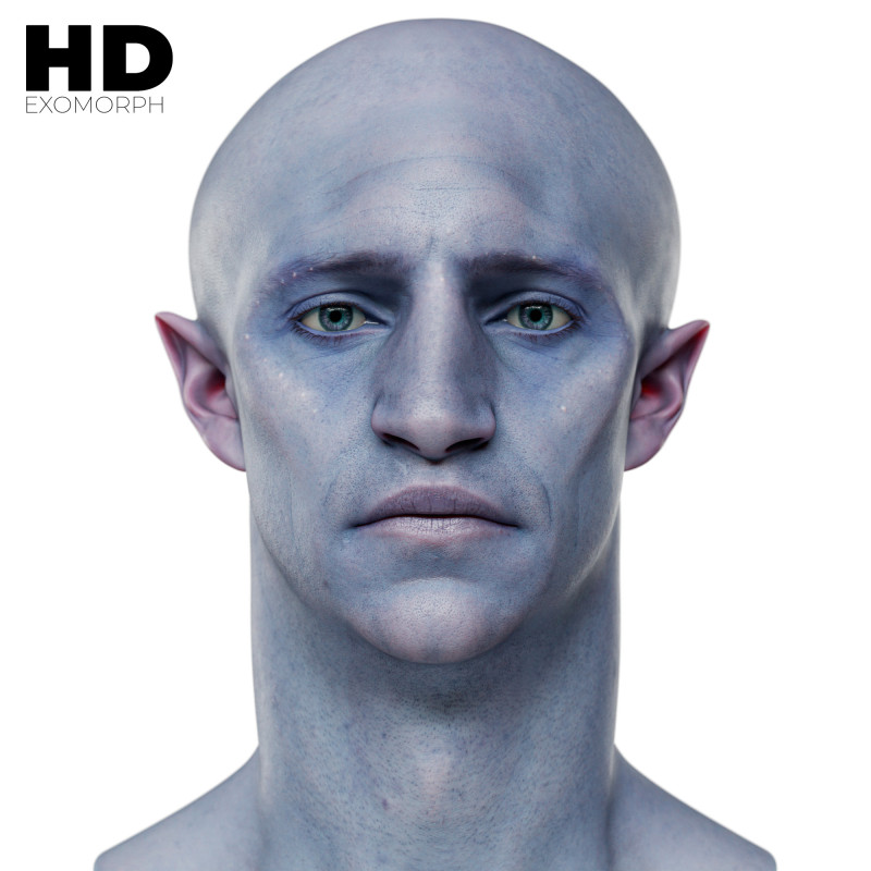 Download our exomoprh 3d head models