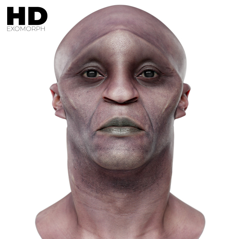 Download our exomoprh 3d head models