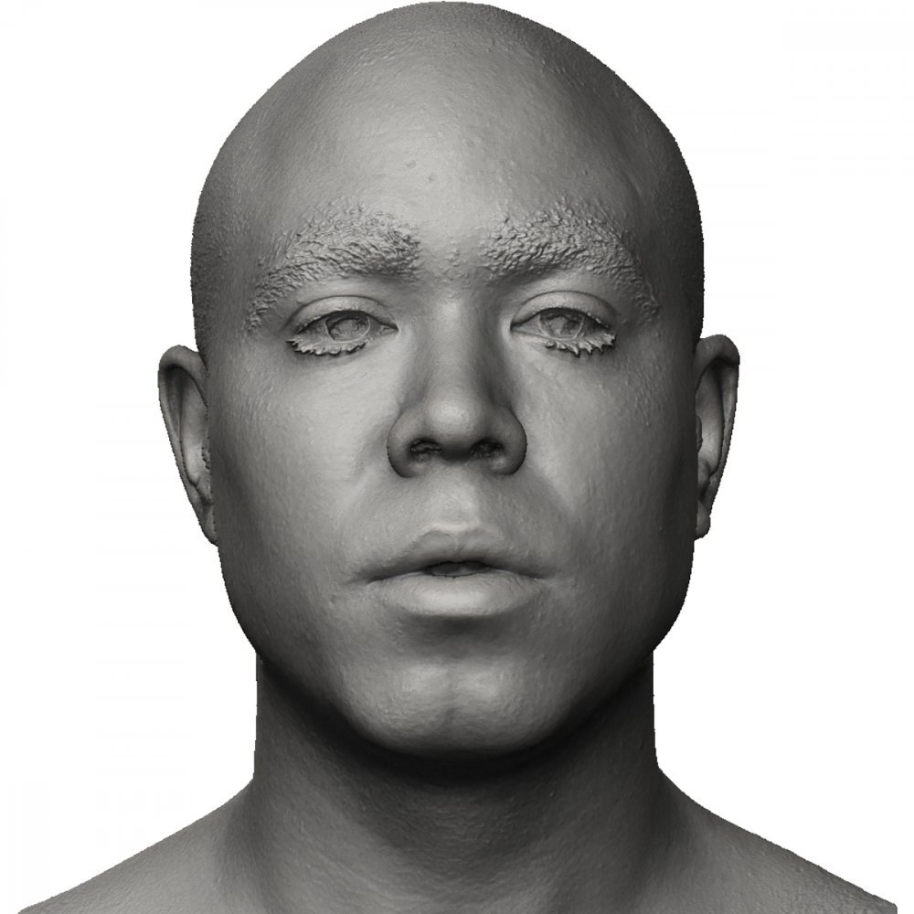 Male 3d Head Scan