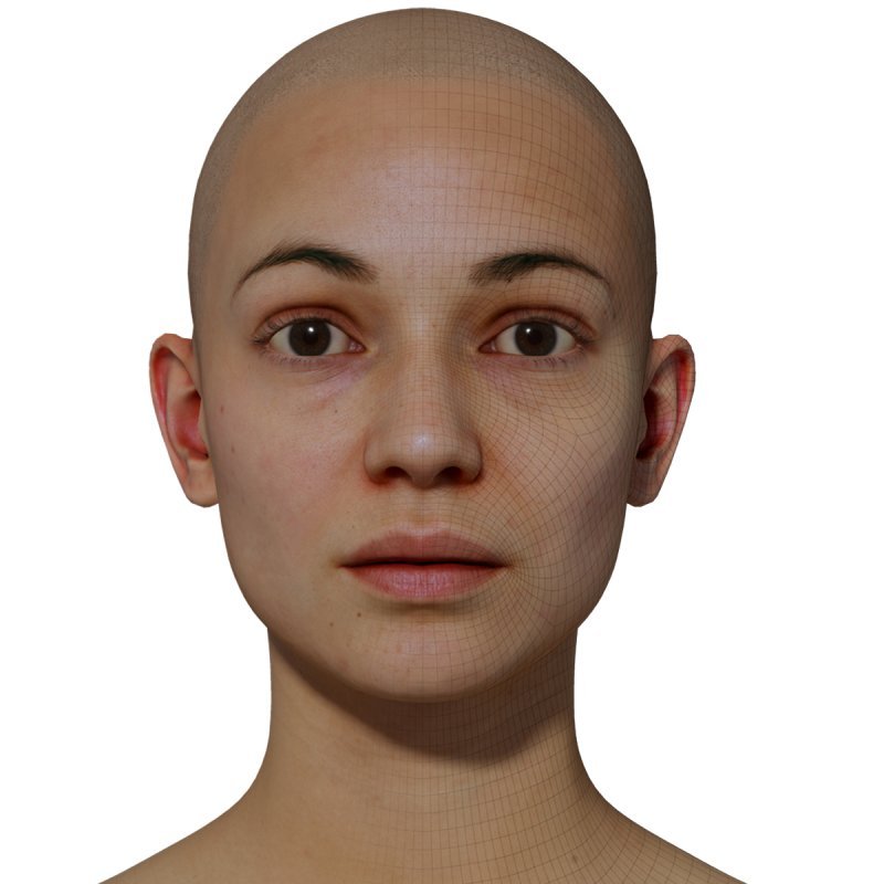 Female 3D model / Retopologised Head Scan 034