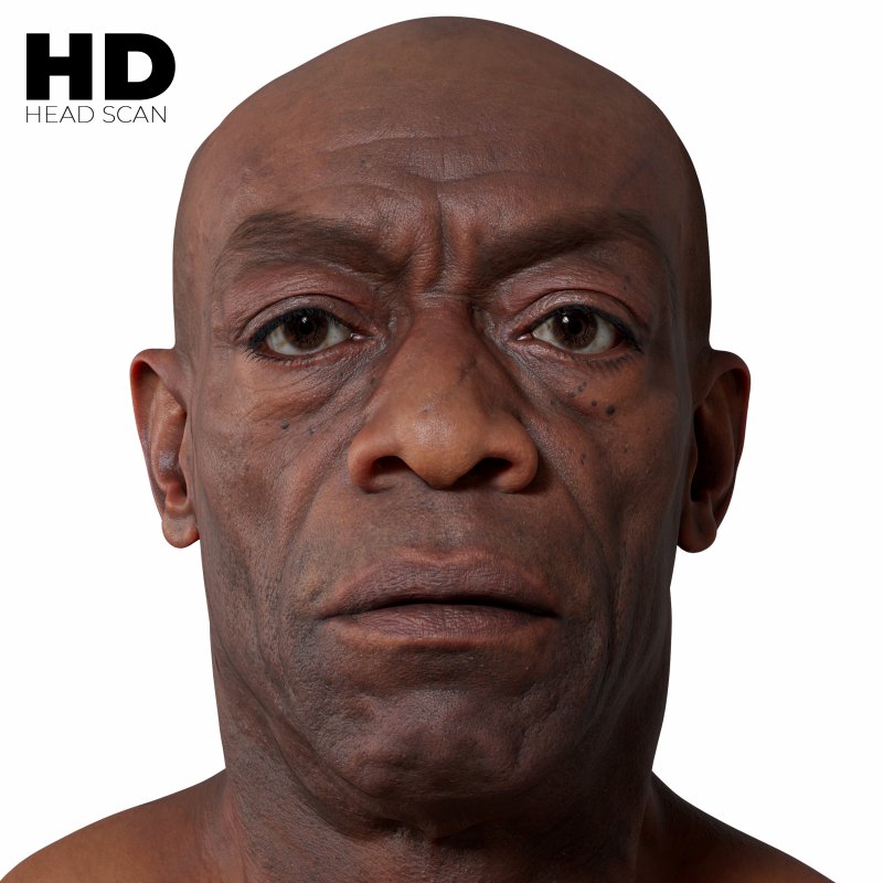 HD Male 3D Head Model 09