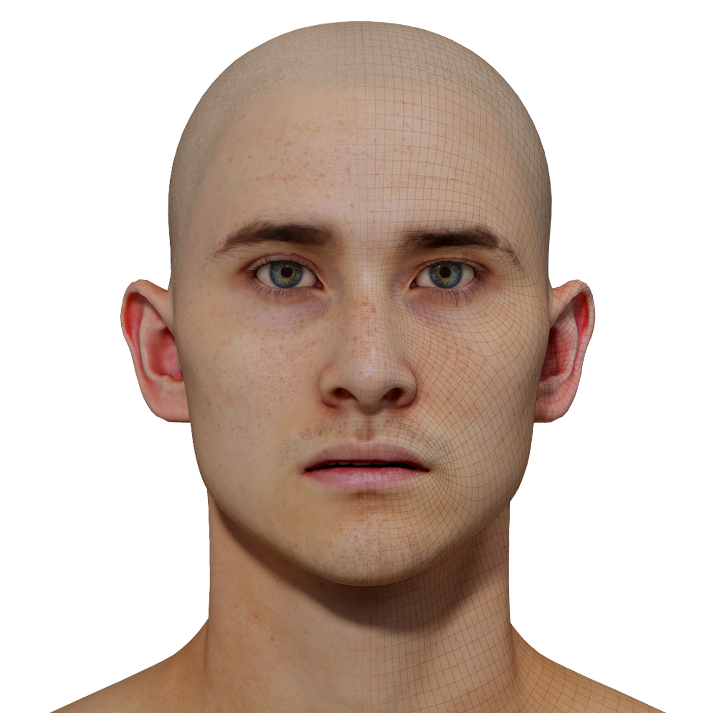 Male 3D model / Retopologised Head Scan ab09