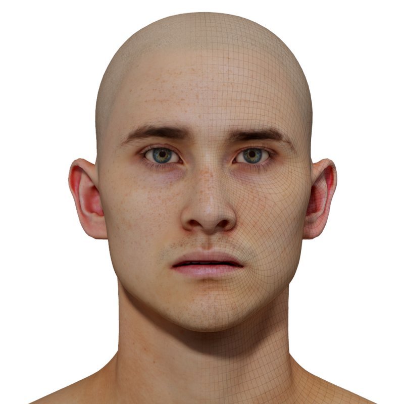 Male 3D model / Retopologised Head Scan 09