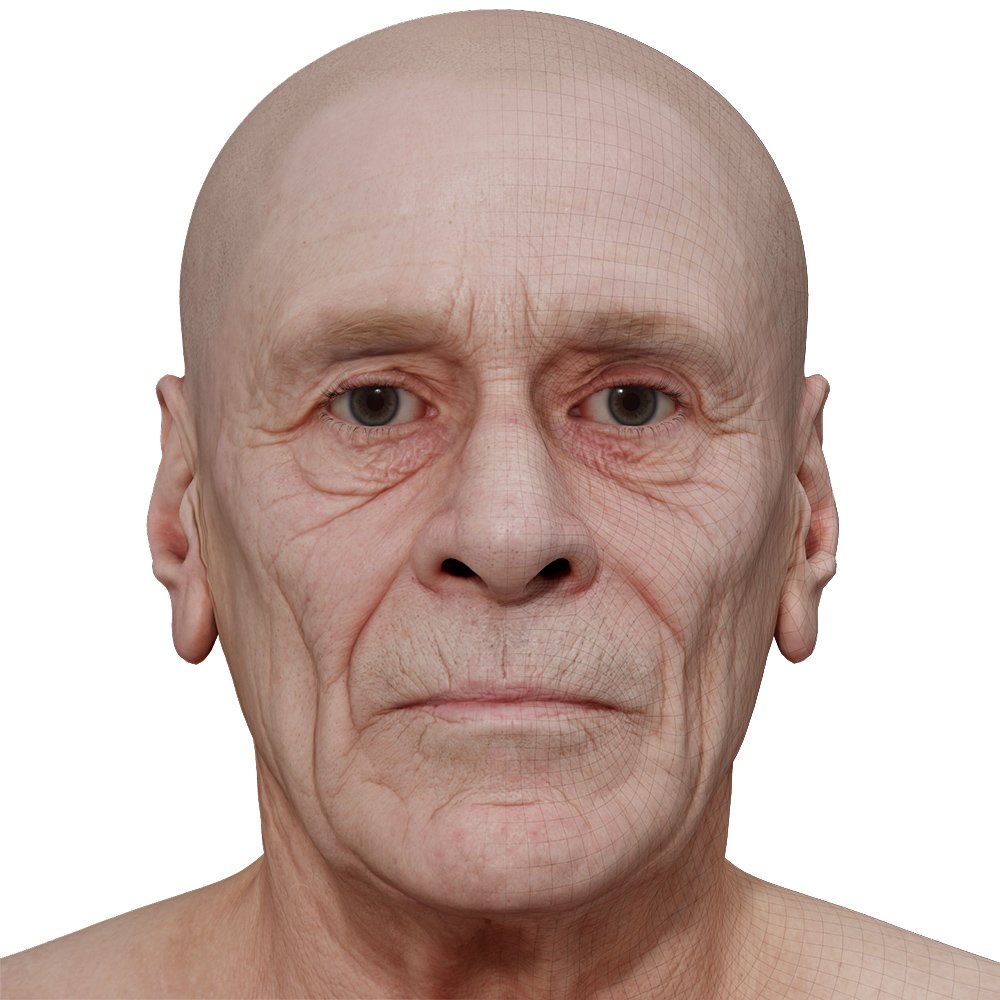 Male 3D model / Retopologised Head Scan 025