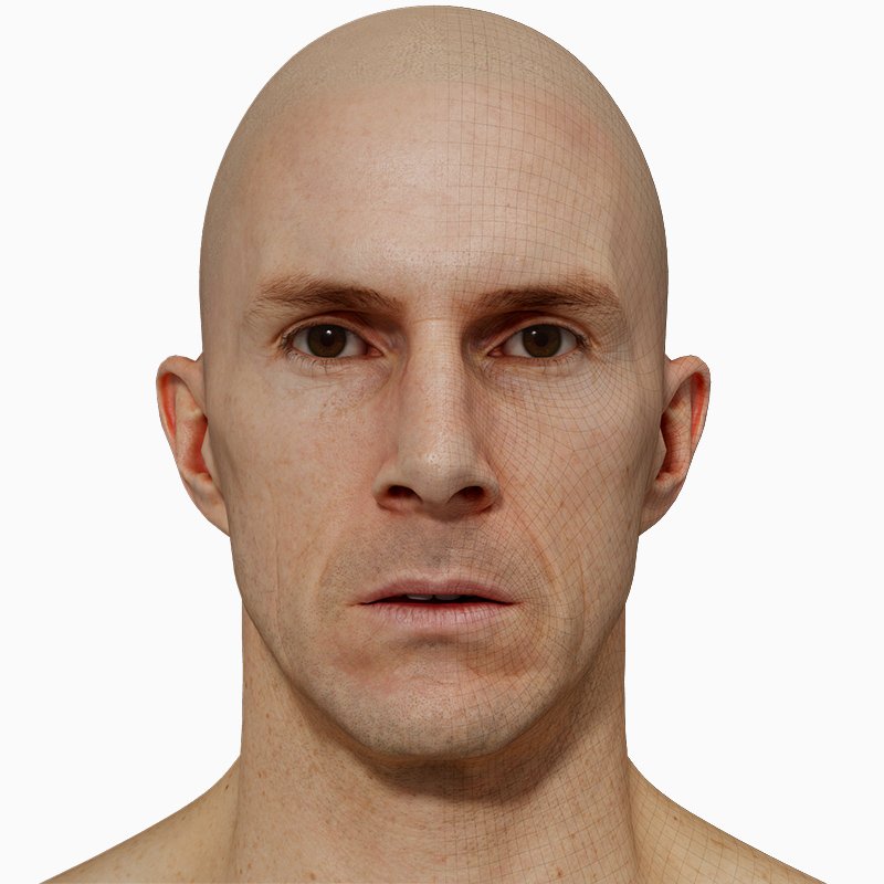 Male 3D model / Retopologised Head Scan 36