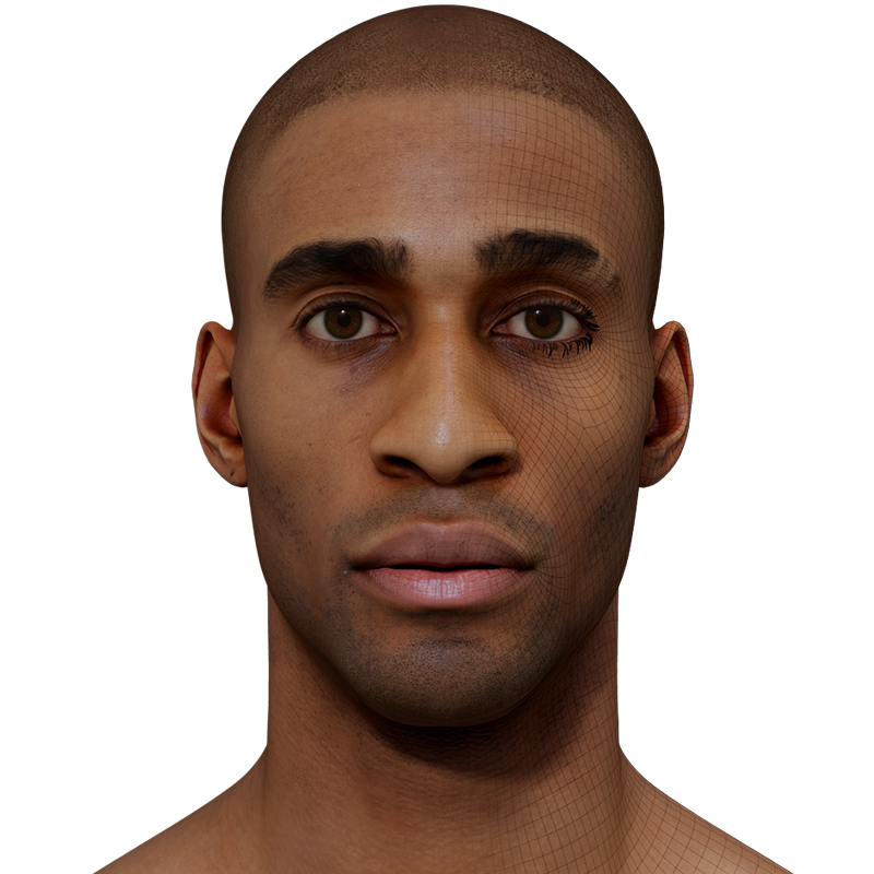 Male 3D model / Retopologised Head Scan 40