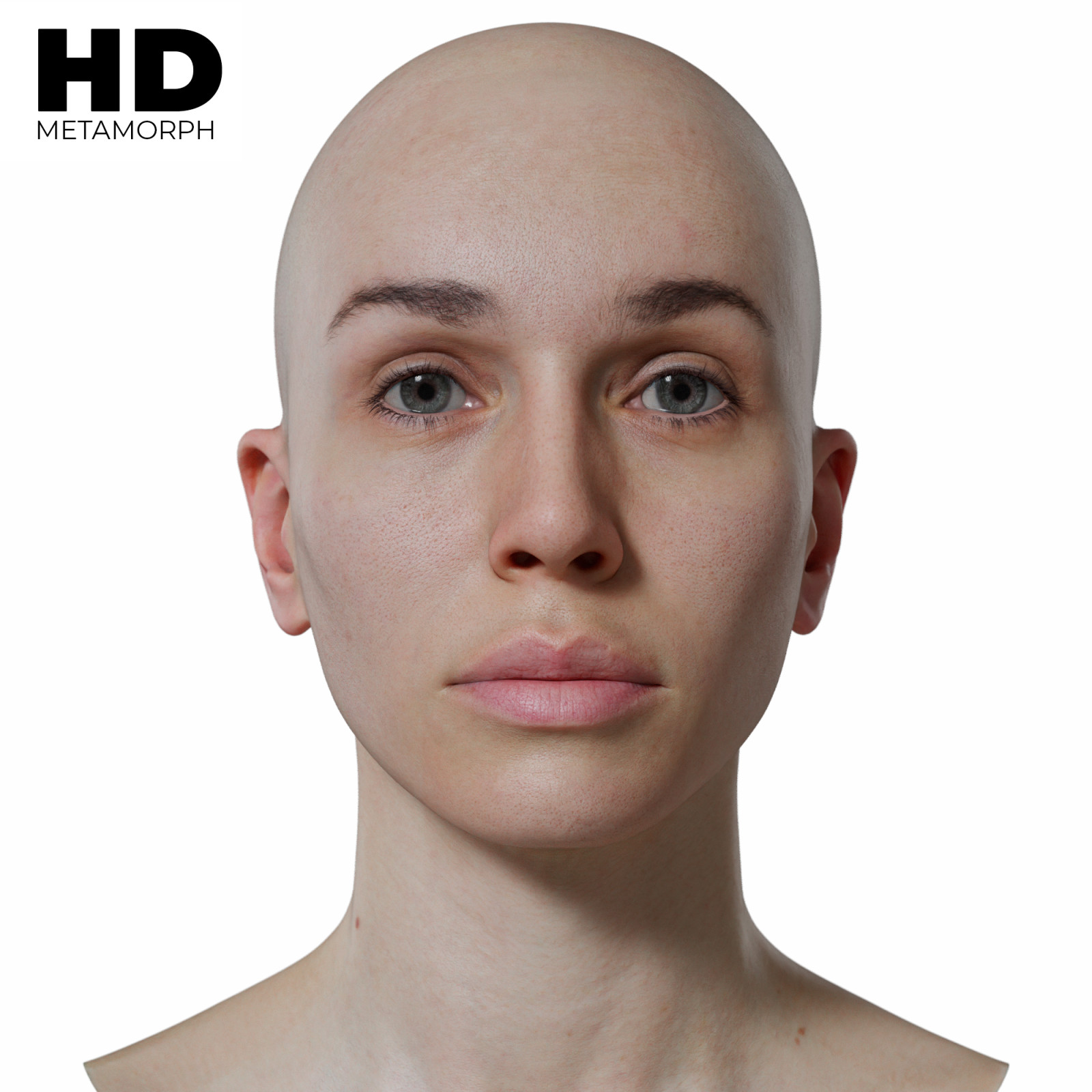 Metamorph 3d head models