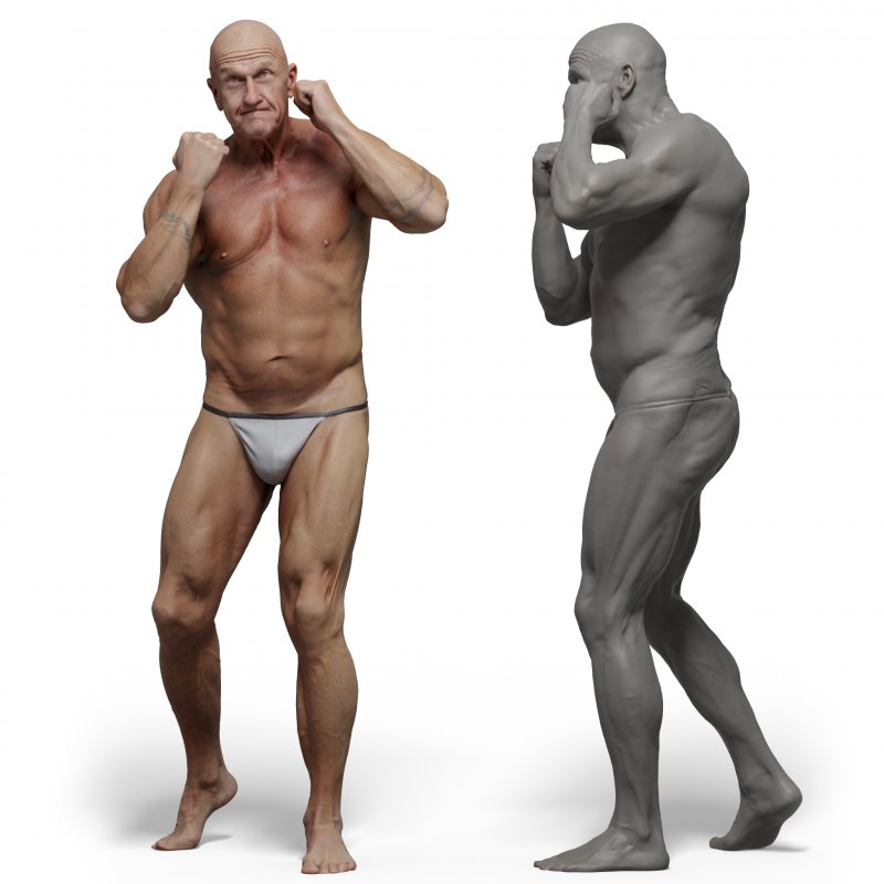Male 05 Anatomy Reference Pose 10