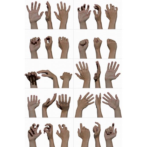 Hand 3D Models | All from 3d scans by 3dscanstore.com