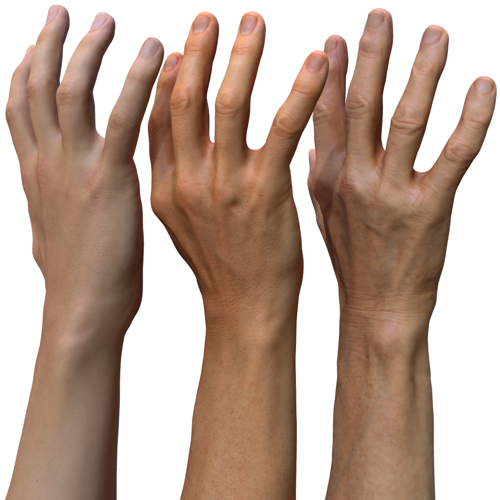 Hand searched. Ретоп руки. 3d scan hands. Male hand. Hand texture.