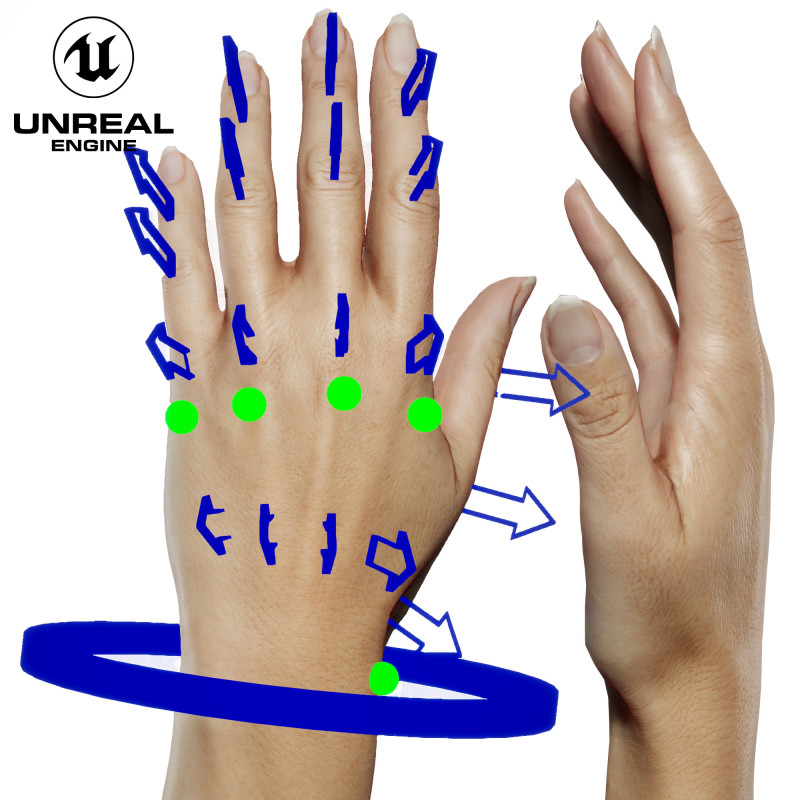 UE5 Rigged Hand - Female White 20 Years Old