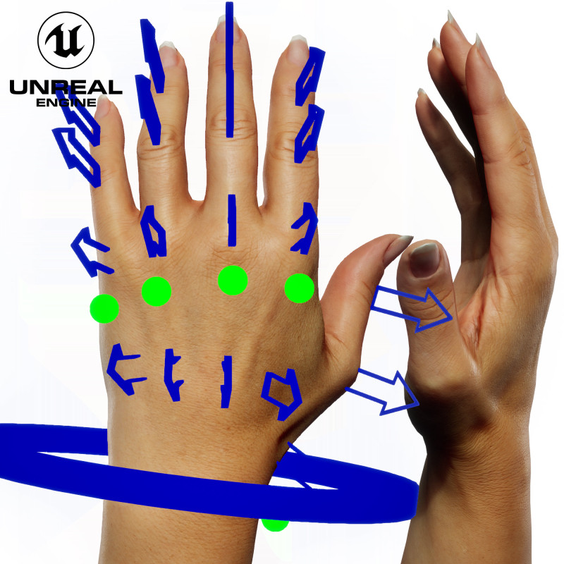UE5 Rigged Hand - Female White 40 Years Old