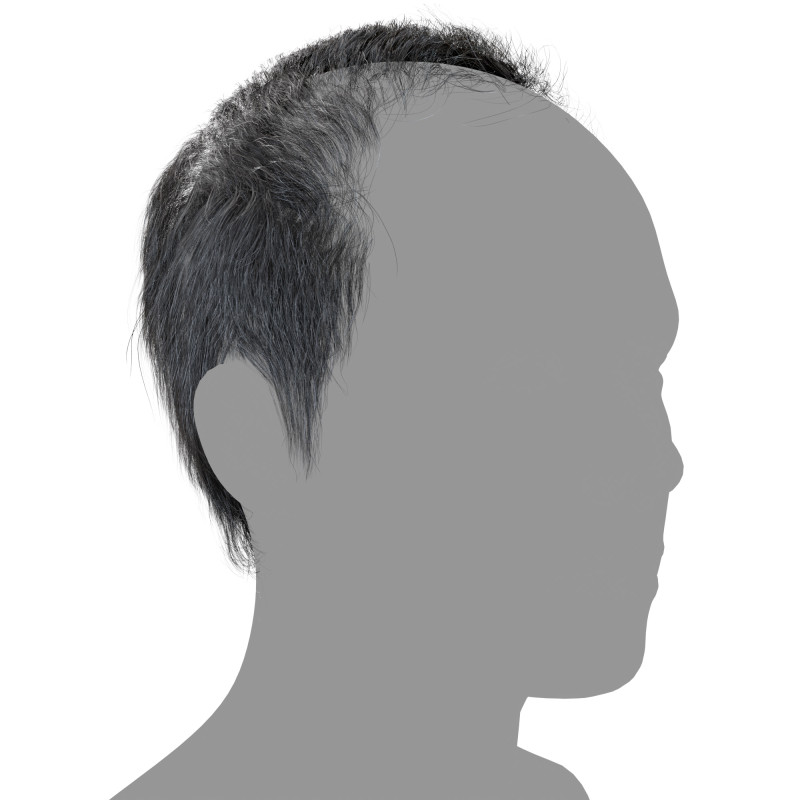 Bald On Top hair realtime polygon hair download