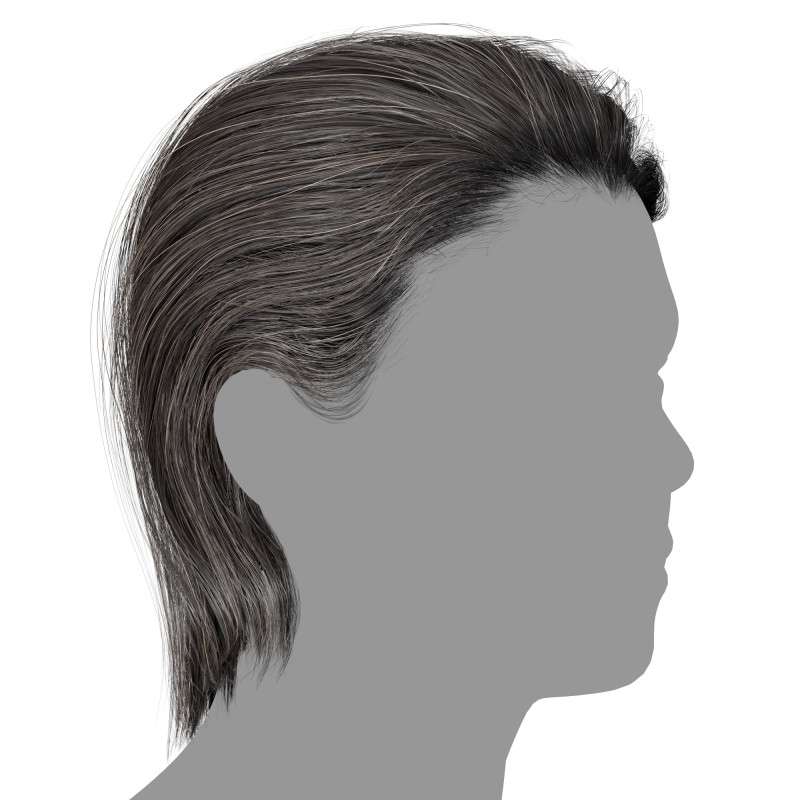 Super Slick hair realtime polygon hair download