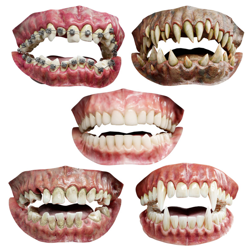 Realistic 3D Teeth - Includes Blender and Marmoset Scenes