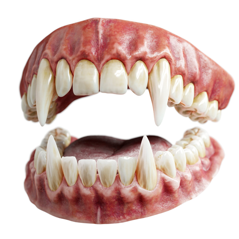 Realistic 3D Vampire Teeth with Blender and Marmoset Scenes