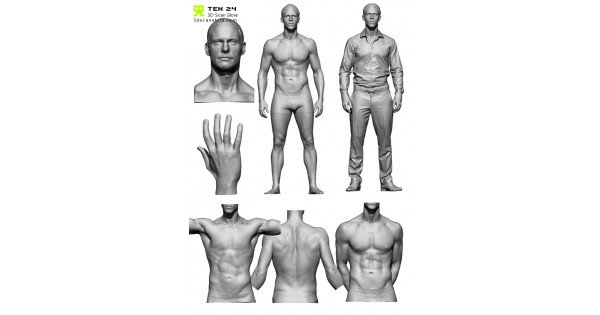 male-anatomy-bundle-01