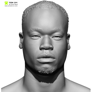 3D model (stl) Male Head Sculpt 02