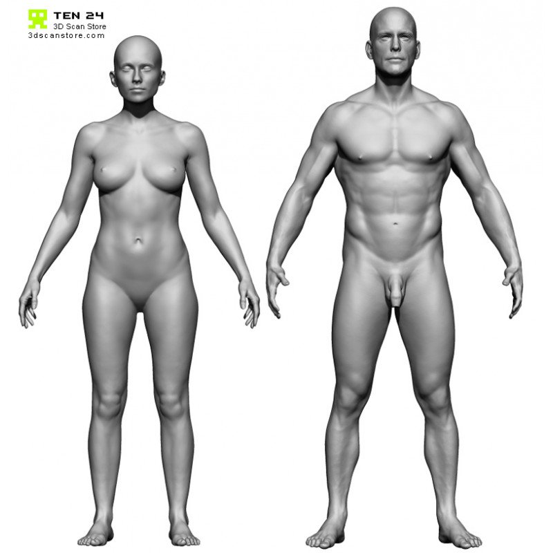 Male And Female Base Mesh Bundle