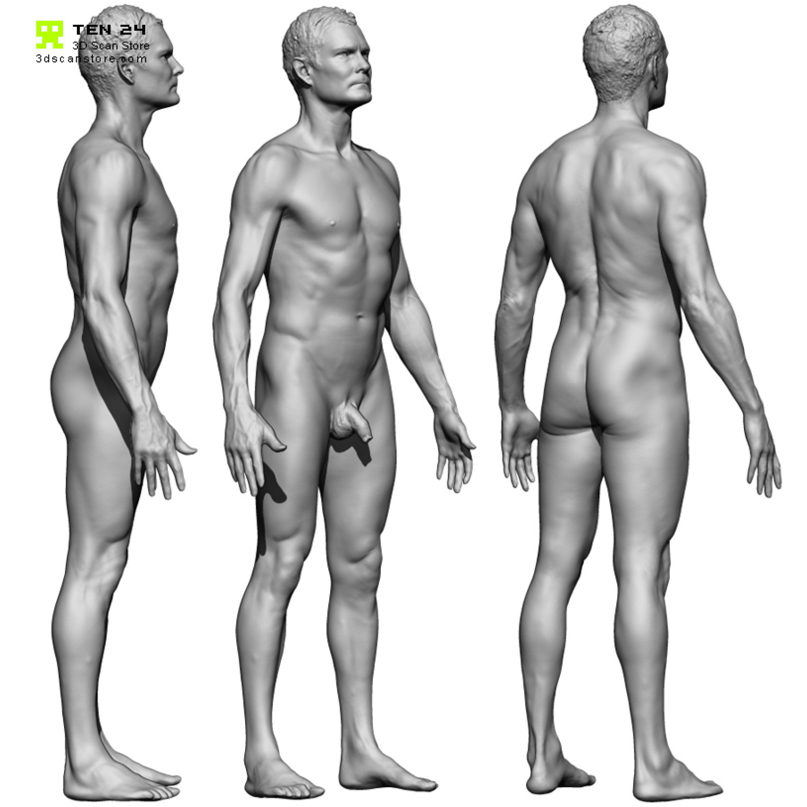 голые люди анатомия (120) фото