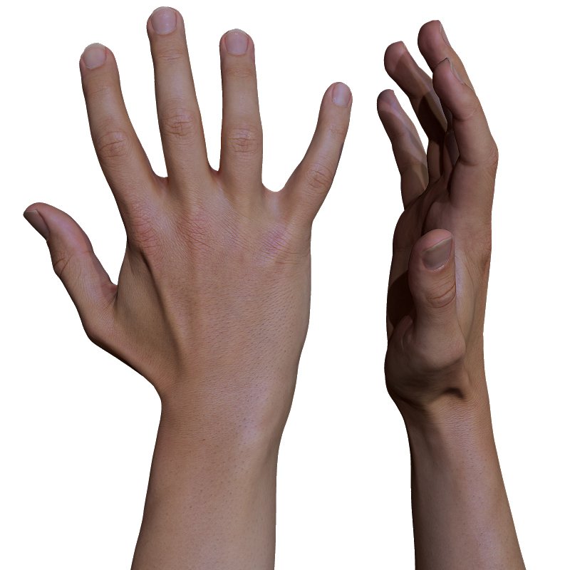 male hand reference